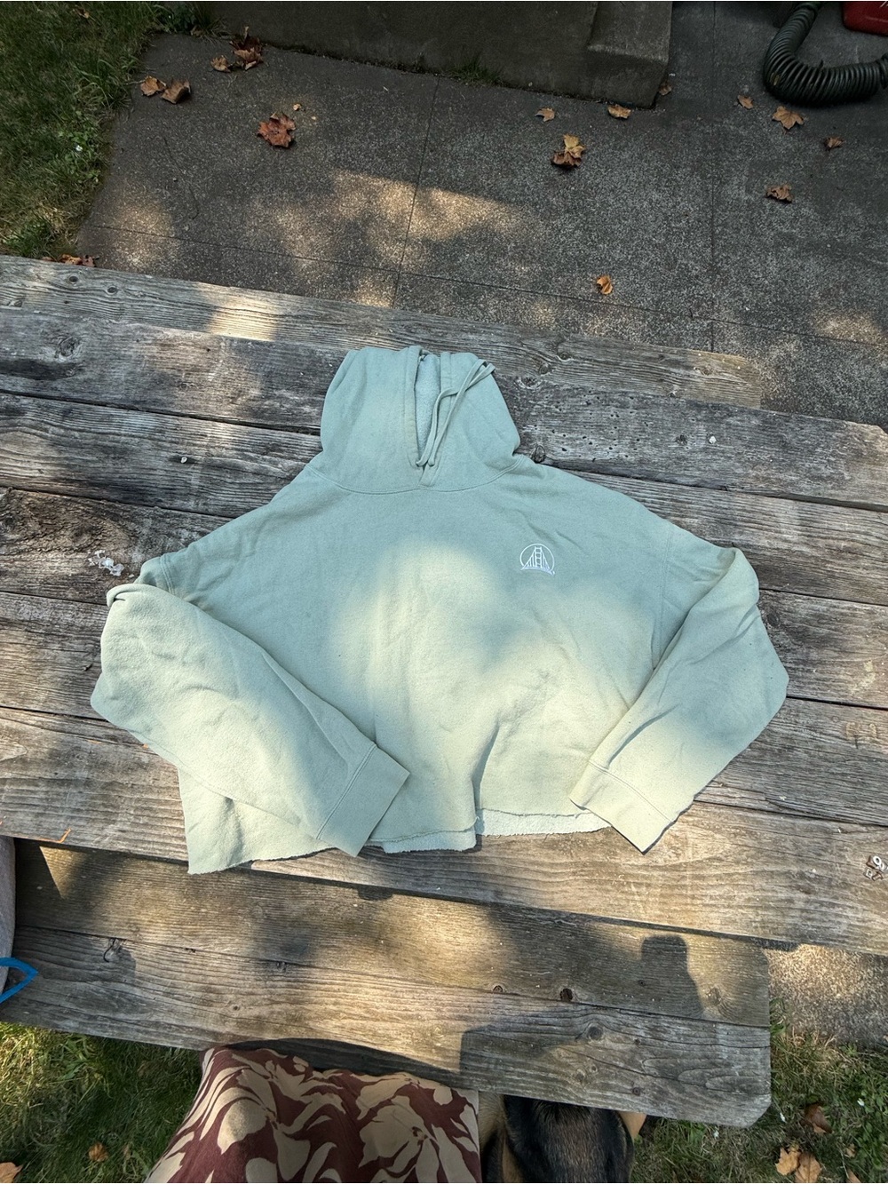 Cropped Sage Green Hoodie with Subtle Chest Emblem